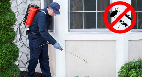 Çeltikçi Gümüşkurt İlaçlama böcek ilaçlama ve haşere kontrolü — ilaclama-tr.com